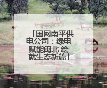 国网南平供电公司：绿电赋能闽北 绘就生态新篇
