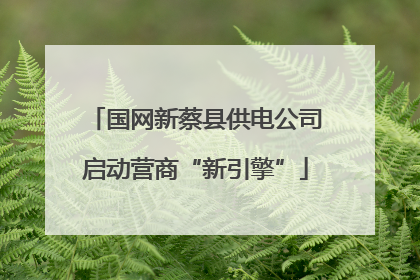 国网新蔡县供电公司启动营商“新引擎”