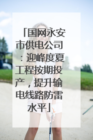 国网永安市供电公司：迎峰度夏工程按期投产，提升输电线路防雷水平