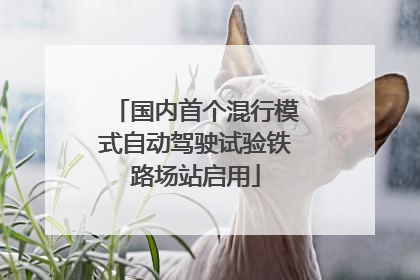 国内首个混行模式自动驾驶试验铁路场站启用