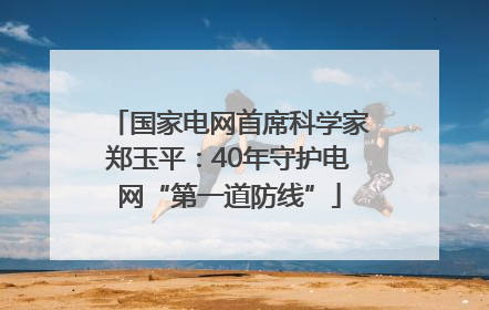 国家电网首席科学家郑玉平：40年守护电网“第一道防线”