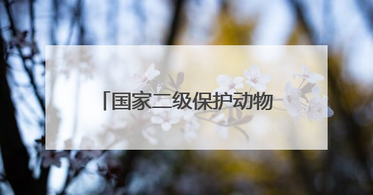 国家二级保护动物灰林鸮光临竹山上庸“鲜花小镇”