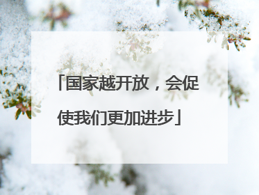 国家越开放，会促使我们更加进步