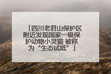 四川老君山保护区附近发现国家一级保护动物小灵猫 被称为“生态试纸”