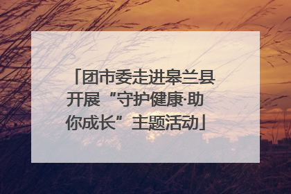团市委走进皋兰县开展“守护健康·助你成长”主题活动