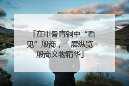 在甲骨青铜中“看见”殷商，一展纵览殷商文物精华