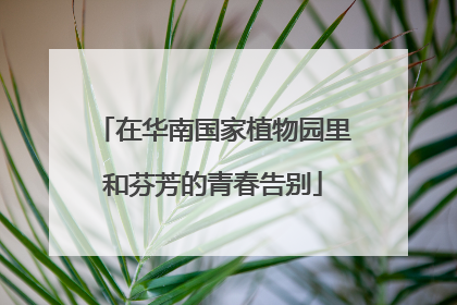 在华南国家植物园里和芬芳的青春告别