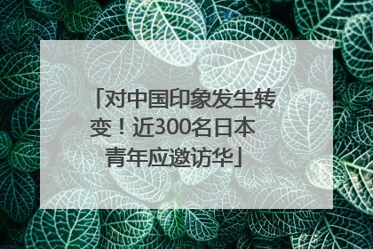 对中国印象发生转变！近300名日本青年应邀访华