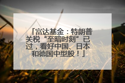 富达基金：特朗普关税“至暗时刻”已过，看好中国、日本和德国中型股！