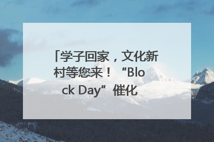 学子回家，文化新村等您来！“Block Day”催化学院式街区新生态