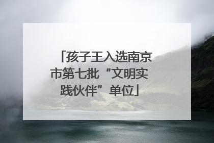 孩子王入选南京市第七批“文明实践伙伴”单位
