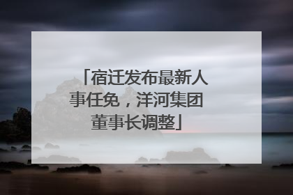 宿迁发布最新人事任免，洋河集团董事长调整