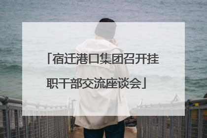 宿迁港口集团召开挂职干部交流座谈会
