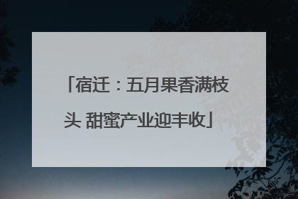 宿迁：五月果香满枝头 甜蜜产业迎丰收