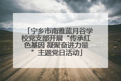 宁乡市南雅蓝月谷学校党支部开展“传承红色基因 凝聚奋进力量”主题党日活动