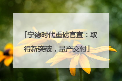 宁德时代重磅官宣：取得新突破，量产交付