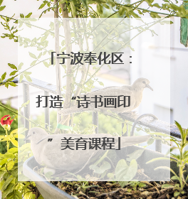 宁波奉化区：打造“诗书画印”美育课程