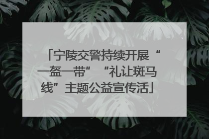 宁陵交警持续开展“一盔一带”“礼让斑马线”主题公益宣传活