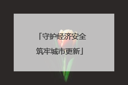 守护经济安全 筑牢城市更新