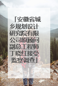 安徽省城乡规划设计研究院有限公司原顾问副总工程师丁晓红接受监察调查