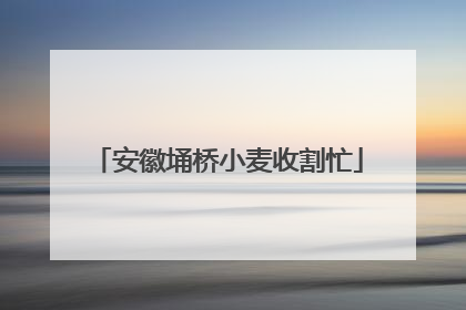 安徽埇桥小麦收割忙