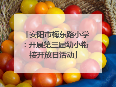 安阳市梅东路小学：开展第三届幼小衔接开放日活动