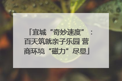 宜城“奇妙速度”：百天筑就亲子乐园 营商环境“磁力”尽显