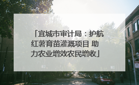 宜城市审计局：护航红薯育苗灌溉项目 助力农业增效农民增收