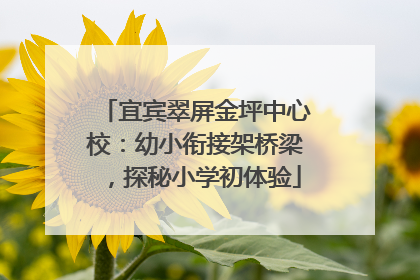 宜宾翠屏金坪中心校：幼小衔接架桥梁，探秘小学初体验