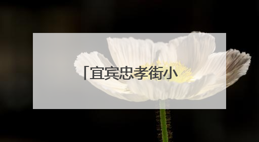 宜宾忠孝街小学第三届“艺术之星”艺术人才大赛圆满落幕