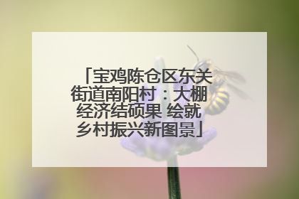 宝鸡陈仓区东关街道南阳村：大棚经济结硕果 绘就乡村振兴新图景