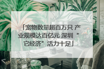 宠物数量超百万只 产业规模达百亿元 深圳“它经济”活力十足