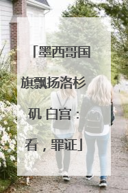 墨西哥国旗飘扬洛杉矶 白宫：看，罪证