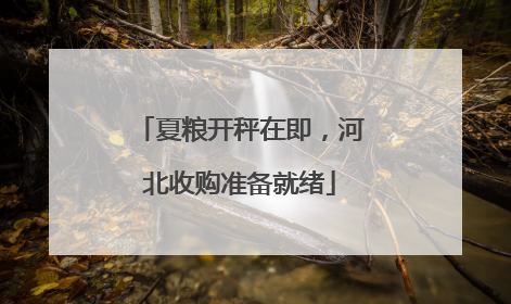 夏粮开秤在即，河北收购准备就绪