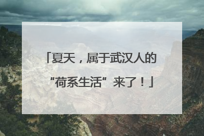 夏天，属于武汉人的“荷系生活”来了！