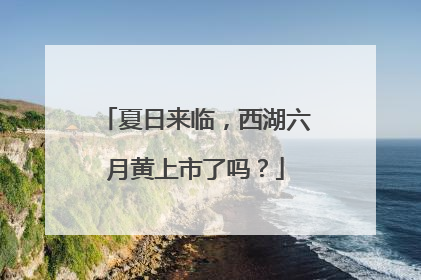 夏日来临，西湖六月黄上市了吗？