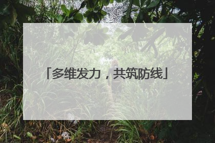 多维发力，共筑防线