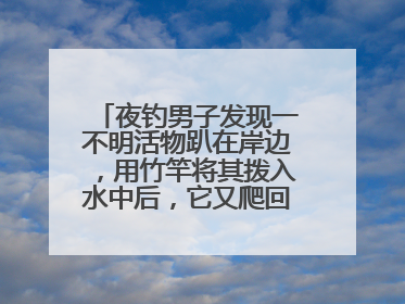 夜钓男子发现一不明活物趴在岸边，用竹竿将其拨入水中后，它又爬回岸边……
