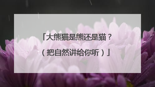 大熊猫是熊还是猫？（把自然讲给你听）
