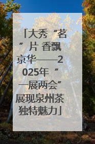 大秀“茗”片 香飘京华——2025年“一展两会”展现泉州茶独特魅力