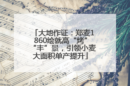 大地作证：郑麦1860绘就高“烤”“丰”景，引领小麦大面积单产提升