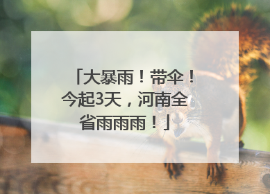 大暴雨！带伞！今起3天，河南全省雨雨雨！