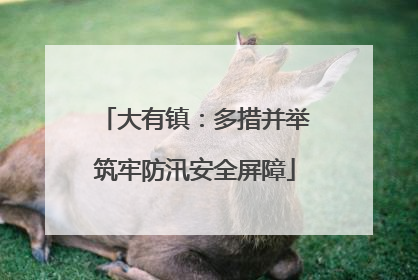 大有镇：多措并举筑牢防汛安全屏障