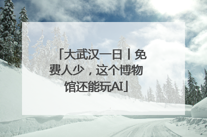 大武汉一日丨免费人少，这个博物馆还能玩AI