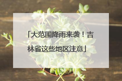 大范围降雨来袭！吉林省这些地区注意