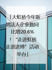 大虹桥今年新增法人企业数同比增20.6%！“走进虹桥 走进进博”活动举办