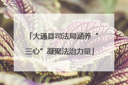 大通县司法局涵养“三心”凝聚法治力量