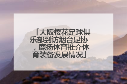 大阪樱花足球俱乐部到访烟台足协，鹿扬体育推介体育装备发展情况