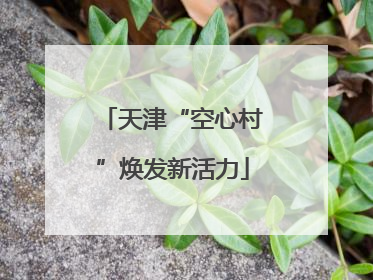 天津“空心村”焕发新活力