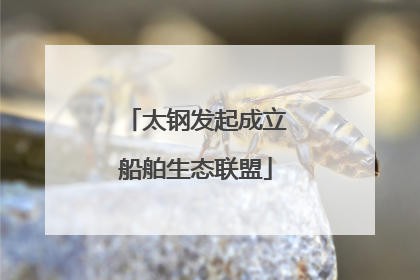 太钢发起成立船舶生态联盟